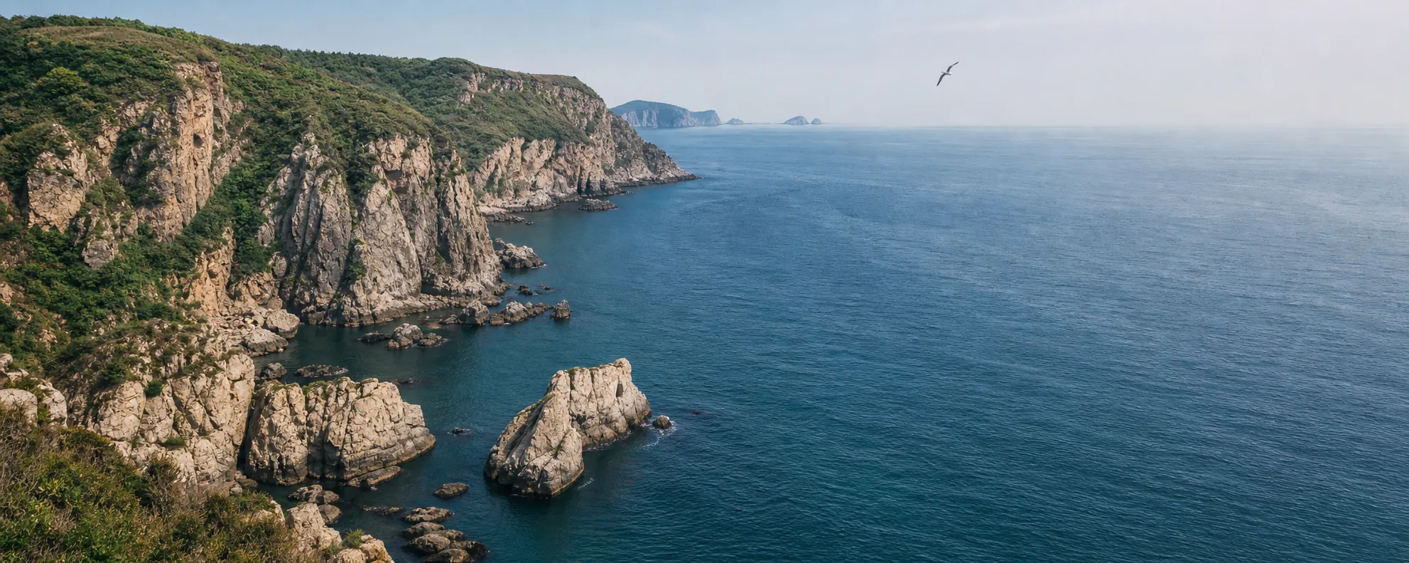 大连海岸测试图